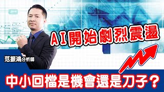 AI開始劇烈震盪 中小回檔是機會還是刀子？ (圖)