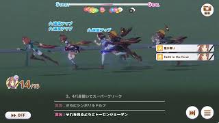 第九十五回デイリー凱旋門賞　2025/11/04 雨 不良バ場