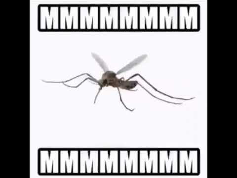 MMMMMMMMMMMMMMM