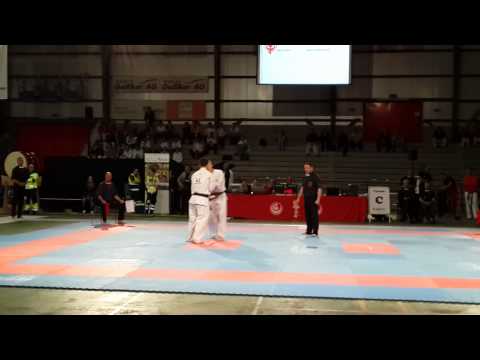 lasha ozbetelashvili vs igor lamot european shin-kyokushin champinship 2013