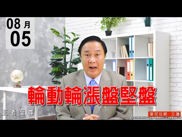 20200805《輪動輪漲盤堅盤》量能有適度放大，量價沒有問題。#王曈 #王者至尊