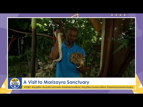 Action For Animals Marizayra Sanctuary [ Episode 7 ]