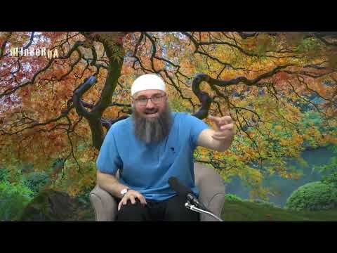 Moram li dati zekat na novac koji sam pozajmio ljudima? - Elvedin Pezić