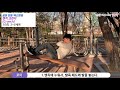 공원에서 운동, 복근운동, 복근만들기, 전신운동, 공원에서 근력운동, 벤치운동, 크런치, crunch, 공원 산책[건디roy]
