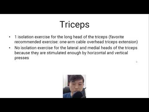 How Many Exercises Minimum for Balanced Full Body Muscle Growth? - 20% Fitness