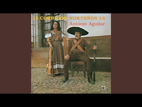 La Viuda Alegre video