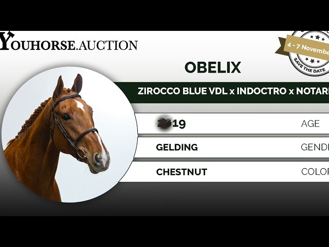 Obelix