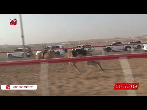  ش 20 (اختبار) لـ مبارك سليم بن حربي العامري 2:06 ، شارة الصندوق 2026/07/13 فطامين الروضة