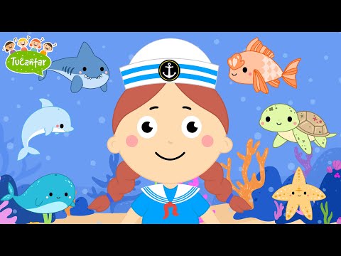 🐳 Pelo Alto-Mar (Animais Marinhos) 🦈 | Tucantar - Música Infantil
