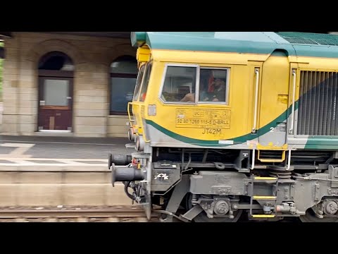 A Freightliner class 66 powering through Germany
