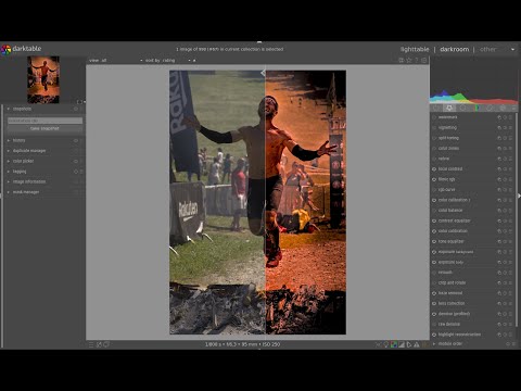 Darktable 3.4 Photography Edition 6: "Crucified". Color Calibration as Channel mixer