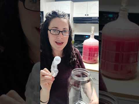 How to Make Homemade Wine Part 2