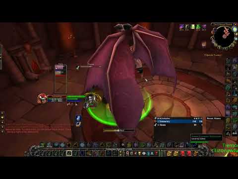 Stratholme Warrior and Shaman duo.