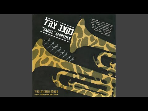 על כנפי הכסף