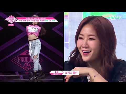 [프듀] 이채연  instruction 프리댄스영상