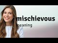 Mischievous | meaning of MISCHIEVOUS