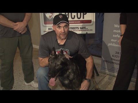Watch Cop Meet His New K9 Partner After His Dog Died Saving His Life