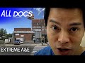 St. Barnabas Hospital in The Bronx, New York | S01 E02 |Medical Documentary | All Documentary