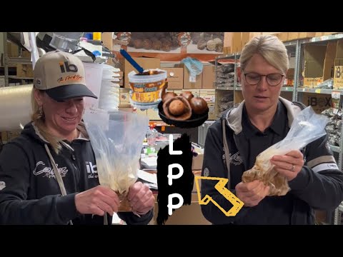 Karpfen lieben diese Paste. Liquid-Powder-Paste, so geht’s.