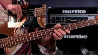 How To Play Bass Guitar - Lessons for Beginners - Chromatic Scales & Accidentals