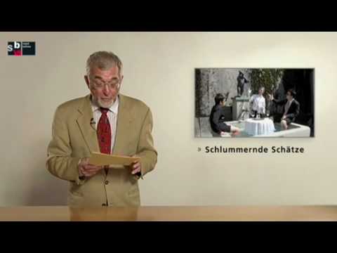 SBW Rundschau Ausgabe 7 - Juni 2010