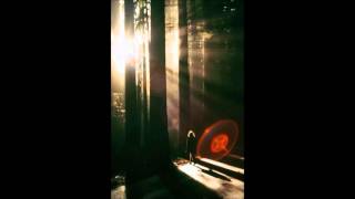 A$AP ROCKY- Hell (Santigold edit)