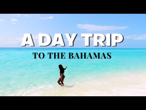Day Trip From South Florida To The Bahamas | Balearia Caribbean Ferry To Bimini | Day Cruise Bahamas