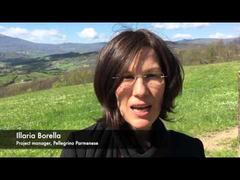 Implementing the Falköping model in Pellegrino Parmense