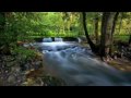 The Music of "Gingko Garden" - Journey of the Clouds