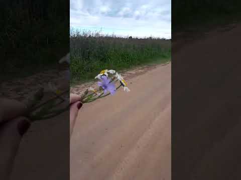 General Galarza,Entre Ríos,caminata 💜🤗