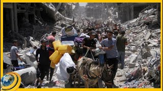 Սննդի արկղերն ու մարդկանց դիերը՝ կողք-կողքի. Գազան մի մեծ սպանադոցի է վերածվել