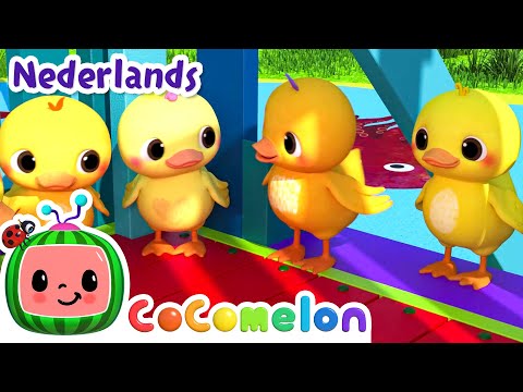 Leren tellen met eenden | CoComelon Nederlands - Kinderliedjes