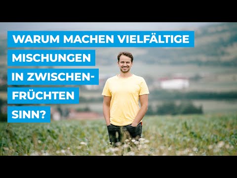 Warum machen vielfältige Mischungen in Zwischenfrüchten Sinn?
