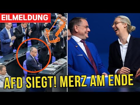 AfD: Deutschlands Demokratie am Scheideweg? Der Machtkampf um Rechtsstaat und Justiz