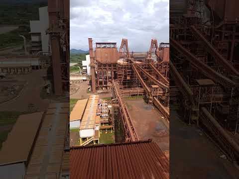 onça puma Ourilândia do Norte