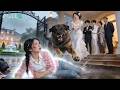For stepsister,CEO bro&parents killed me—reborn! Found my loving foster bro!Your turn to regret!