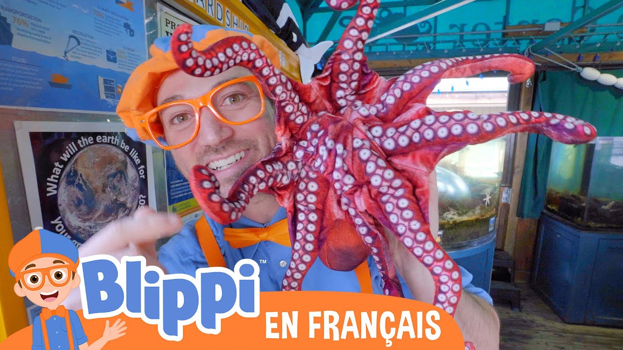 À la découverte des animaux sous-marins | Blippi en français | Vidéos éducatives pour enfants