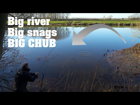 Winter chub fishing on big rivers