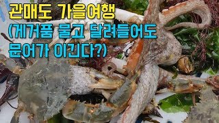 preview picture of video ''가고싶은섬' 미숙씨와 관매도 이장님의 바닷일 [섬섬썸]'