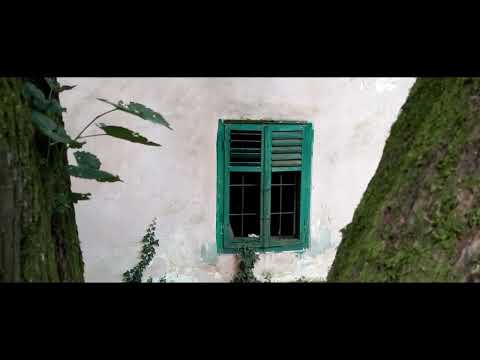 Sellyei Arborétum és Draskovich-kastély - Short film (Baranya Kincsei Filmmaraton)