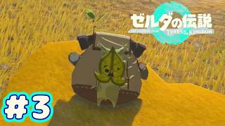 ＃３　お、お前は・・・・・【ゼルダの伝説～ティアーズ オブ ザ キングダム～】