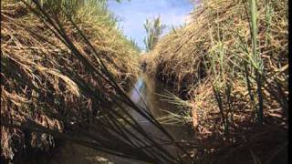 White Sands, White Wilderness: A Visual Exploration of the World&#39;s Largest Gypsum Dunes