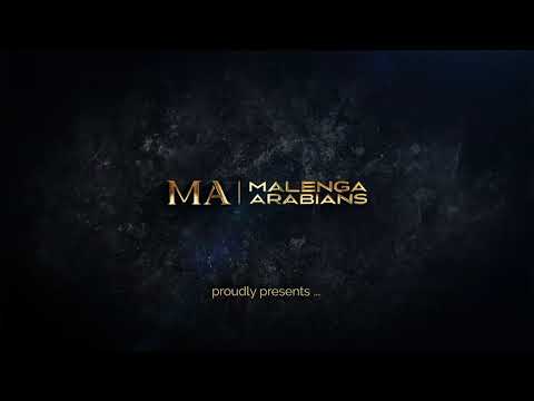 Arabian Horse Filly Foal 2021: Jinny MA (by Jyar Meia Lua)