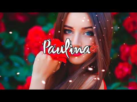 FEDY - Paulina × HIGH KING X87 [ Reggae 2k20 ]