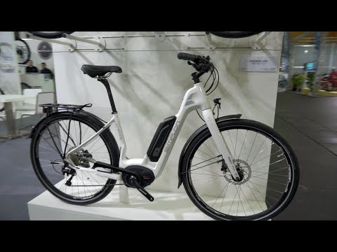 Simplon Chenoa Uni Carbon Pedelec