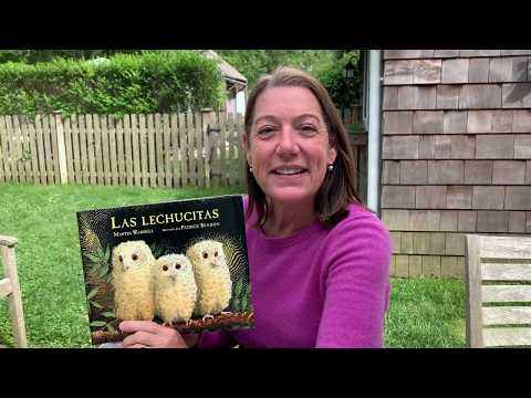 Bilingual Storytime: "Las Lechucitas" by Martin Waddell