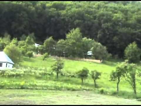 La Locurele  - Poiene de vis