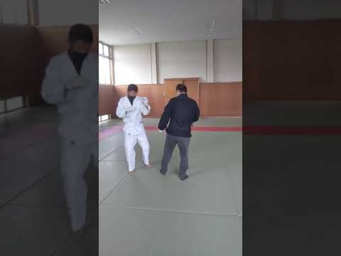 風門館護身体術。裾蹴返。風門流カーフキック対策。ストッピング３種。