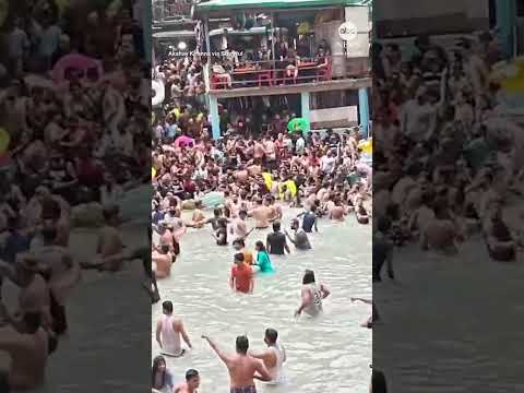 Snake in the pool sends swimmers scrambling in northern India