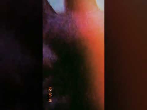 MadRats - Shred (ID VIP or QuixSmell Remix?!?)